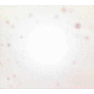 Yo La Tengo - There's A Riot Going On (Limited Edition) (Orange Coloured) (2 LP) (0744861116684)