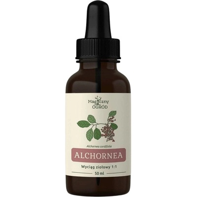 Alchornea Cordifolia 1:1 50 ml