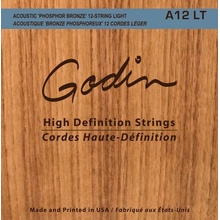 Godin A12 LT