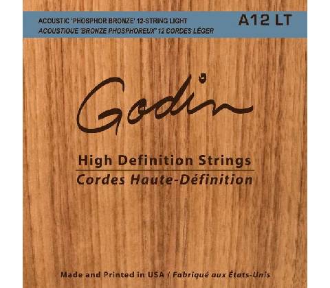 Godin A12 LT