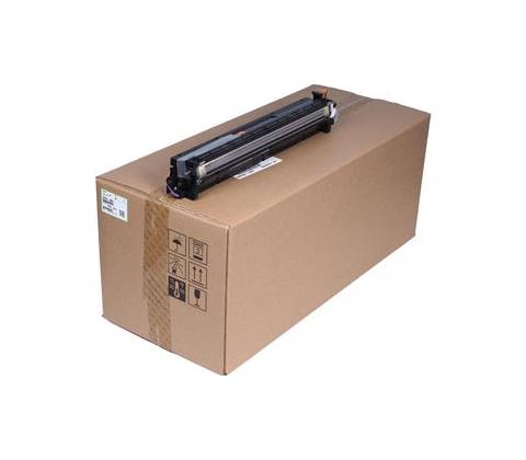 Ricoh D2393061 - originálny