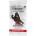 Magic the Gathering Magic the Gathering: Assassin's Creed Beyond Booster (BGMT0001115N)