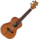 Ortega RUACA-CC