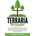 Terraria Guide for Beginners