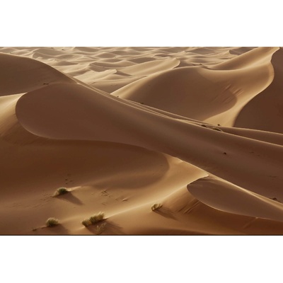 DIMEX ART Флизелинов фототапет дюни в сахара 375 x 250 см