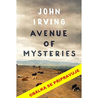 John Irving - Ulice Záhadných tajemství
