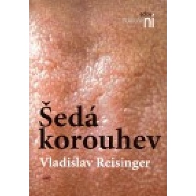 Šedá korouhev - Vladislav Reisinger