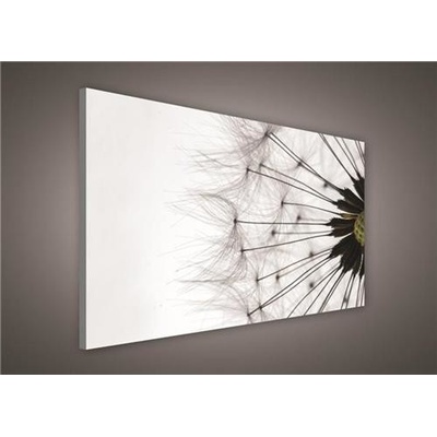 Obraz na plátně pampeliška 412O1, 100 x 75 cm, IMPOL TRADE