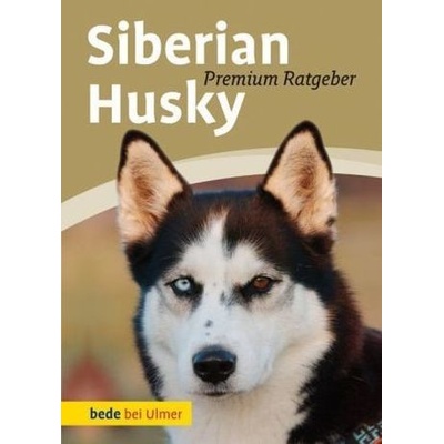 Siberian Husky