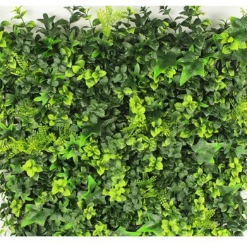 Image 1 of Китай Декоративни плочки Бръшлян + Чемшир