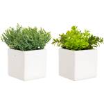 Bizzotto ИЗКУСТВЕНО РАСТЕНИЕ CARLEY 10x10x18 cm ЗЕЛЕНО (0172798)