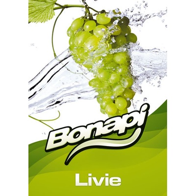 Bonapi LIVIE točené limonády post mix 20l BIB
