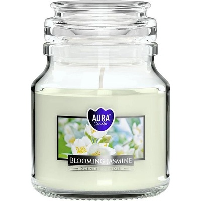 BISPOL Ароматна свещ Bispol Aura - Blooming Jasmine, 120 g (snd71-169)