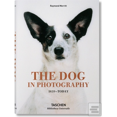 Dog in Photography 1839-Today Merritt RaymondPevná vazba