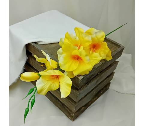 Gladiola žltá - halúzka