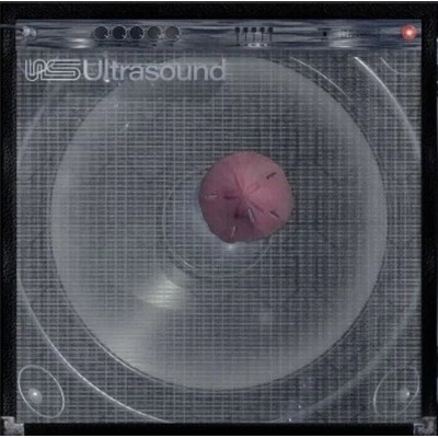 The Neighbourhood - Ultrasound + (Indie Exclusive) (Purple Coloured) (2 LP) (0093624825715)
