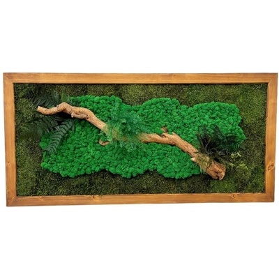 Machový obraz Green
