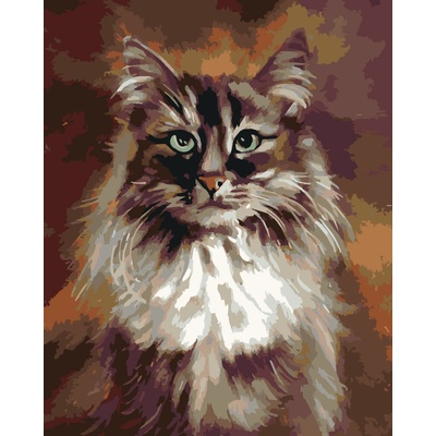 ZUTY Malování podle čísel KOČKA NA HNĚDÉM POZADÍ 40 x 50 cm