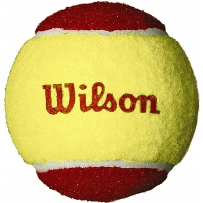 Wilson Starter 12 ks