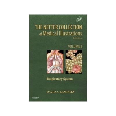 Netter Collection of Medical Illustrations: Vol 3