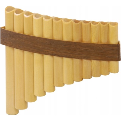 Gibonus Student Pan Flute FP 12 – Zbozi.Blesk.cz