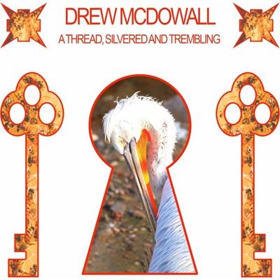 Drew Mowall - A Thread, Silvered And Trembling CLR LTD cD LP