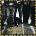 Wallflowers - Wallflowers CD