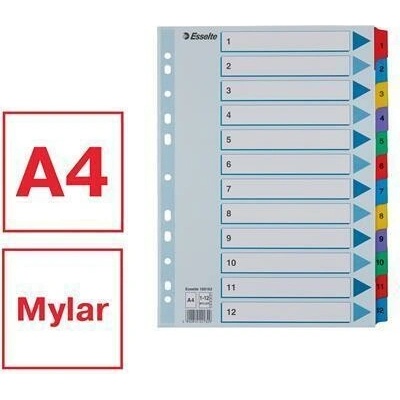 Zosilnené registre "Mylar", mix farieb, kartón, A4, 1-12, ESSELTE
