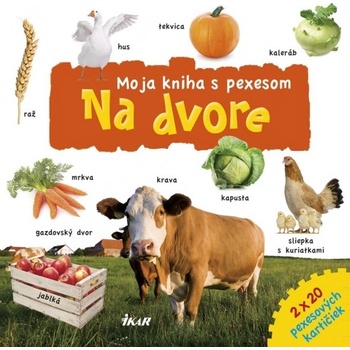 Pexeso – Na dvore