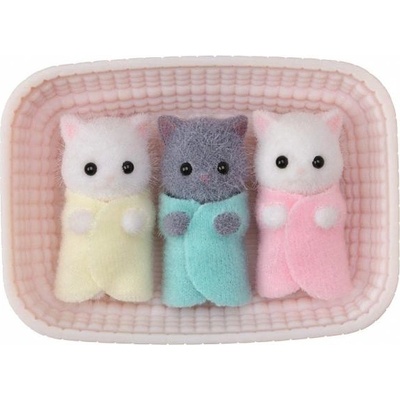 EPOCH Персийски котки тризнаци