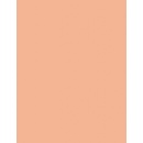 Revlon Colorstay make-up Combination Oily skin Make-up 200 Nude 30 ml