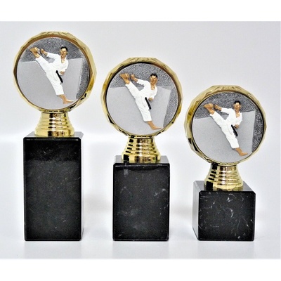 VIZINGR Karate trofeje K13-FG005 16 cm
