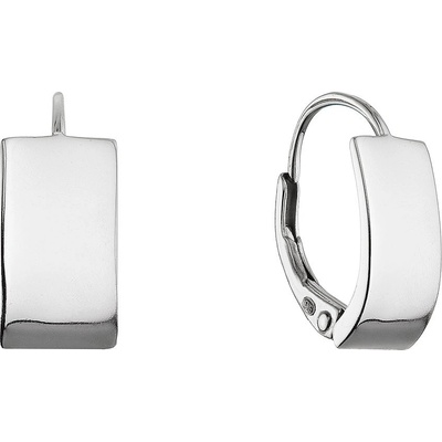 Evolution Group stříbrné náušnice kruhy 61073