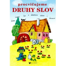Procvičujeme druhy slov