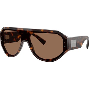 Dolce&Gabbana DG4481 502/73 Слънчеви очила