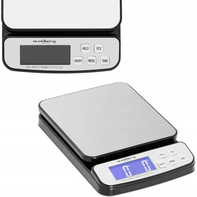 Steinberg Systems SBS-PT-50000