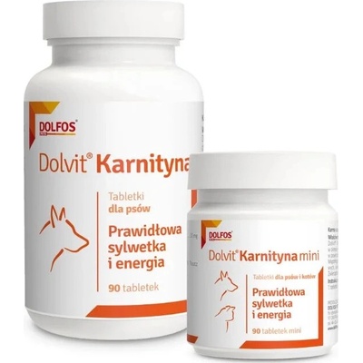 DOLFOS Karnitín - minerálno - vitamínový preparát 90 tbl