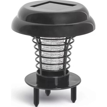 Garden of Eden 55667