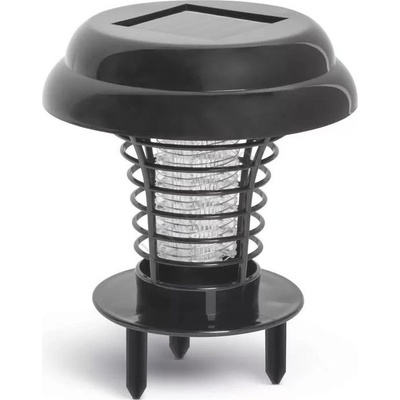 Garden of Eden 55667