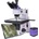 Magus Metal D650