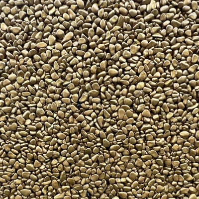 Báča Beton Kamenný koberec Gold střední 1 – 4 mm 3,5 m²