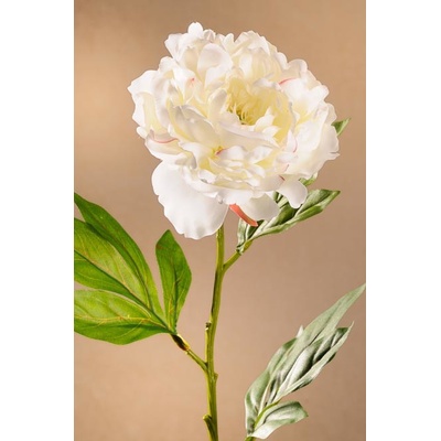 Paramit BLOOMING PEONY Aranžovací květina bílá 77 cm