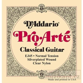 D'addario EJ45