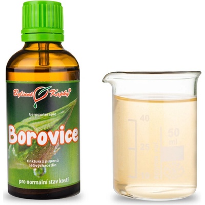 Borovica lesná púčiky gemmoterapie 50 ml