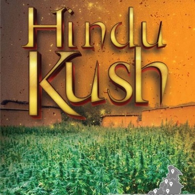Landrace Warden Hindu Kush regular semienka neobsahujú THC 10 ks