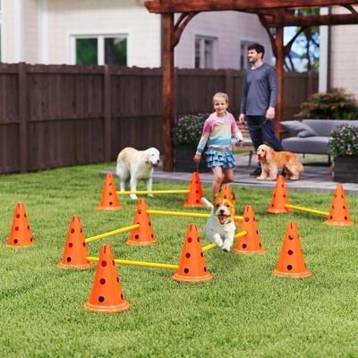PawHut Agility překážky pro psy oranžové žluté