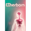 Etherborn