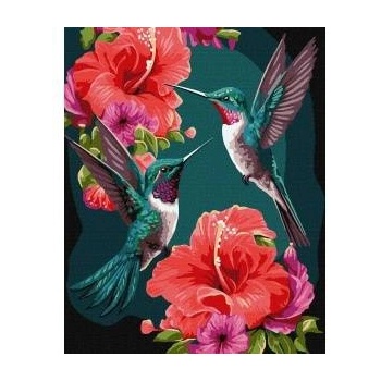 Ideyka Painting by numbers - Emerald Hummingbirds