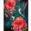 Ideyka Painting by numbers - Emerald Hummingbirds