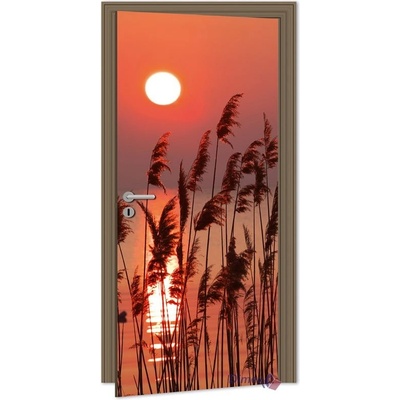 Dimex D-013 samolepící fototapeta na dveře REED ON LAKE rozměry 95 x 210 cm